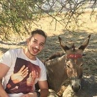 Μίμης Κουτσοφιός