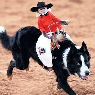 Monkey Riding Dog