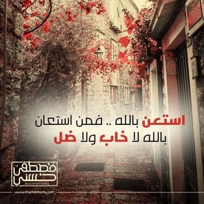 محمد الأمين الشنقيطي