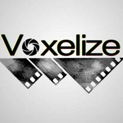 VoxelizE