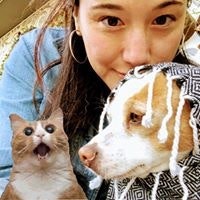 Stephanie Robogeisha