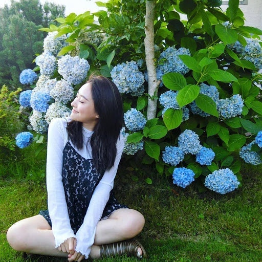 emily lu
