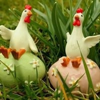 Өндөглөдөг Азарган Тахиа