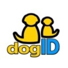 Dog Id Collar