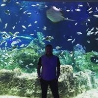 Carlos Alejandro Villaseñor Loera