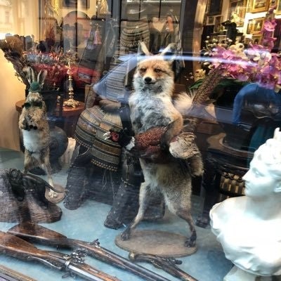 h̾u̾t̾c̾h̾ ̾-̾ ̾ᕕ̾(̾ ̾ᐛ̾ ̾)̾ᕗ̾