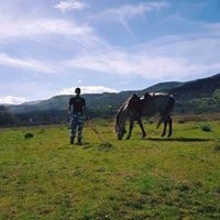 Μαρκησιος Κωνσταντινος