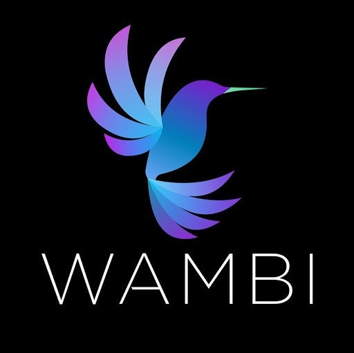 Wambi LLC
