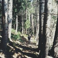 ალექსანდრე იოსავა