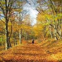 Kristine Lortkipanidze