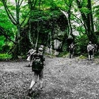 ბექა ბირკაია