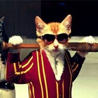 ეზრა ანჩელი