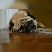 ავთანდილ'ი