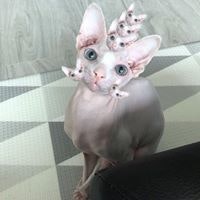 Viktoriia Ponomarenko