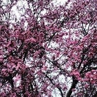 Alvaro Madurga Jiménez