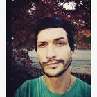 Stephen Lewis Kramer