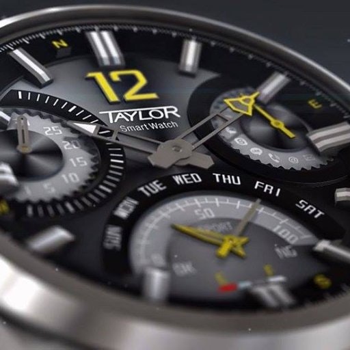 TaylorWatch