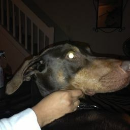 Jada C. Aka Gorge (JC Pitman)