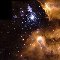 Антон Моисеев