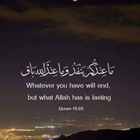 نبيلة عزالدين