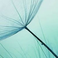 Александр Абрамцев