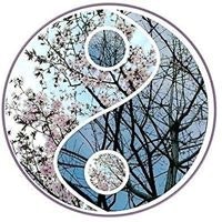 Christelle Bernard Conseil Mtc