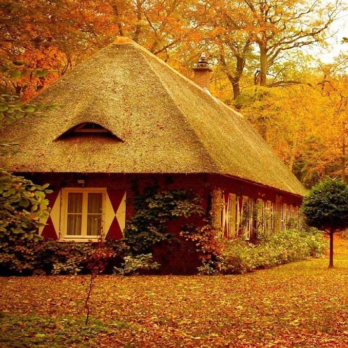 banghemassagenhatban