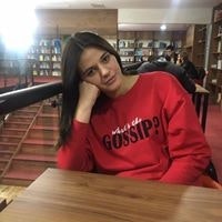 გიგაური ანი