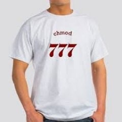 chmod777