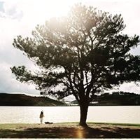 Nguyễn Phạm Quỳnh Trân