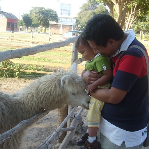 Elias Genaro Tasayco Herrera