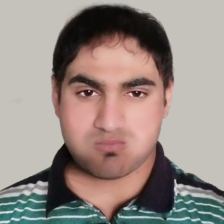 Zulfiqar Anees