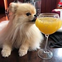 Meagan Beilstein-Heitman