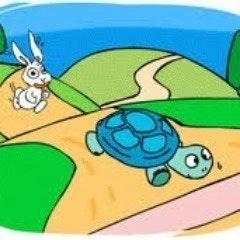 fast-turtle