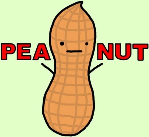 Dip Your Toe in Crypto