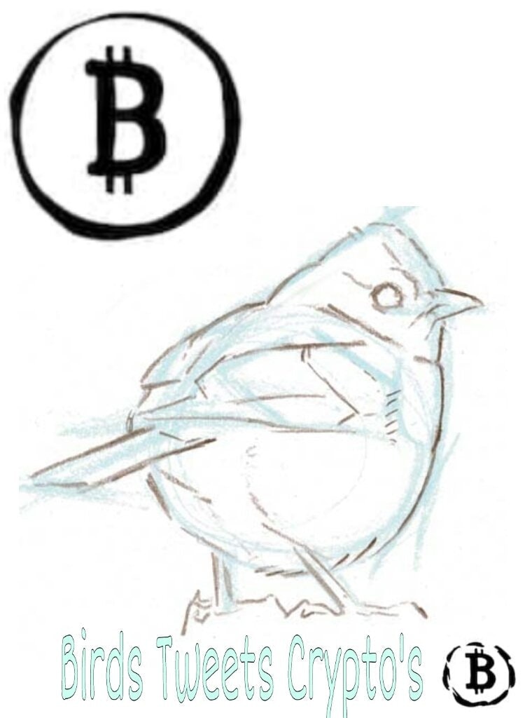Bird Tweets Crypto's