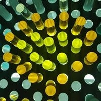 Dong-min FunFlex Shin