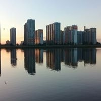 Дарья Дорошенко