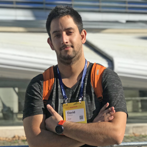 David Ferreira (daminufe)