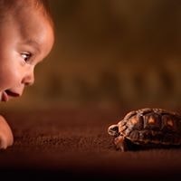 Ziamond James Rothchild