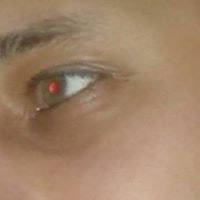 Олег Макаркин