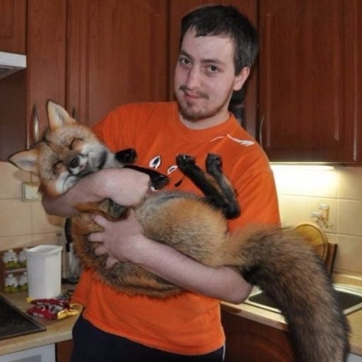 Леонид Лисин