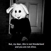 Ana Sofia de Almeida