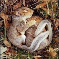 Madlena Harutyunian Gagliardi