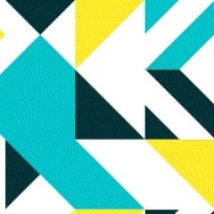 The Apprentice Project