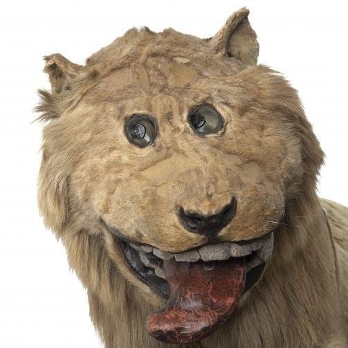 Блезерскайт Текумсе