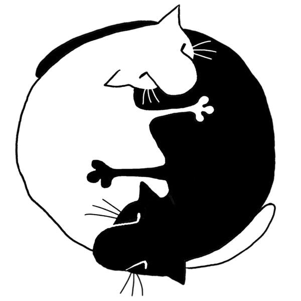 Константин Михайлов