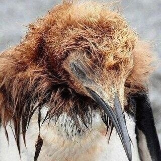 алексей михнев