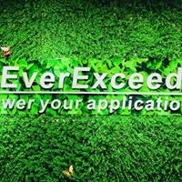 Ever Exceed
