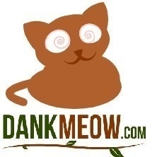 DankMeow